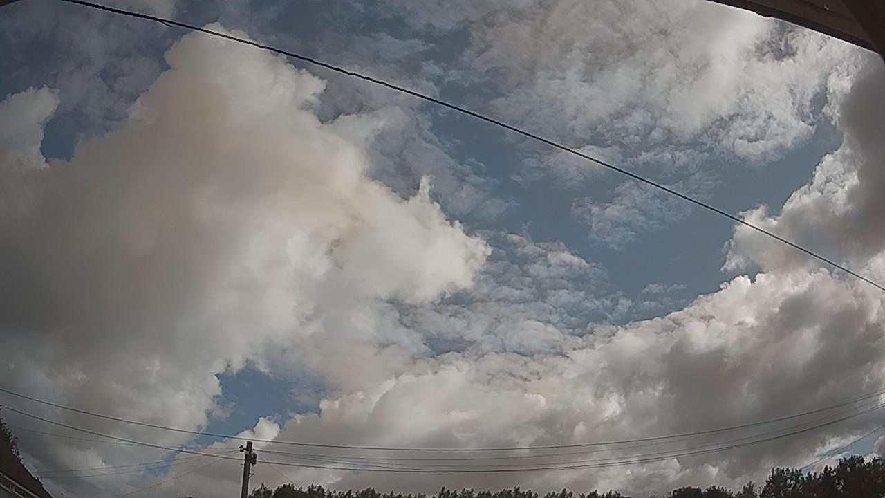 20260801_080831_cam2.jpg