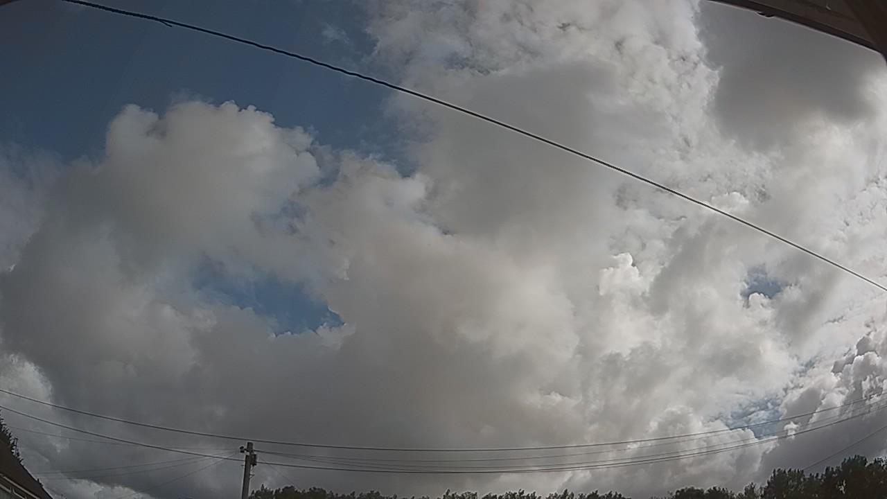 20260801_081222_cam2.jpg