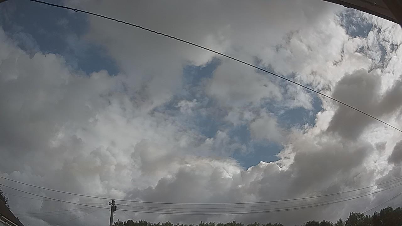 20260801_081613_cam2.jpg