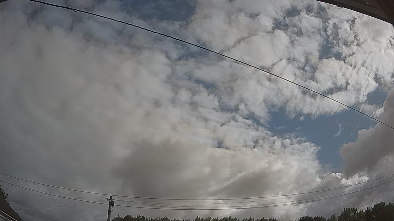 20260801_082004_cam2.jpg
