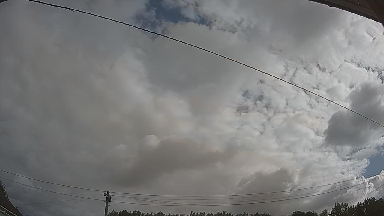 20260801_082354_cam2.jpg