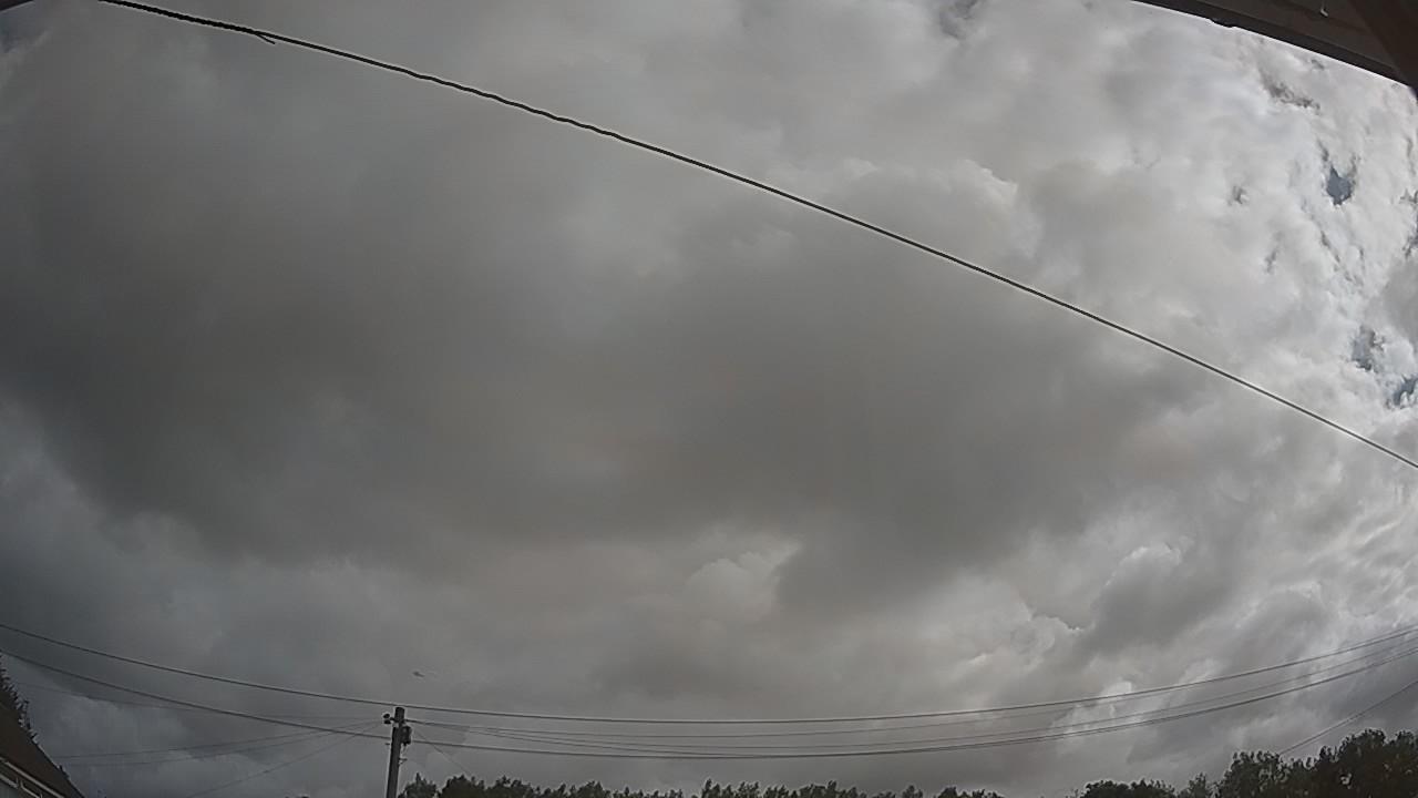 20260801_083127_cam2.jpg
