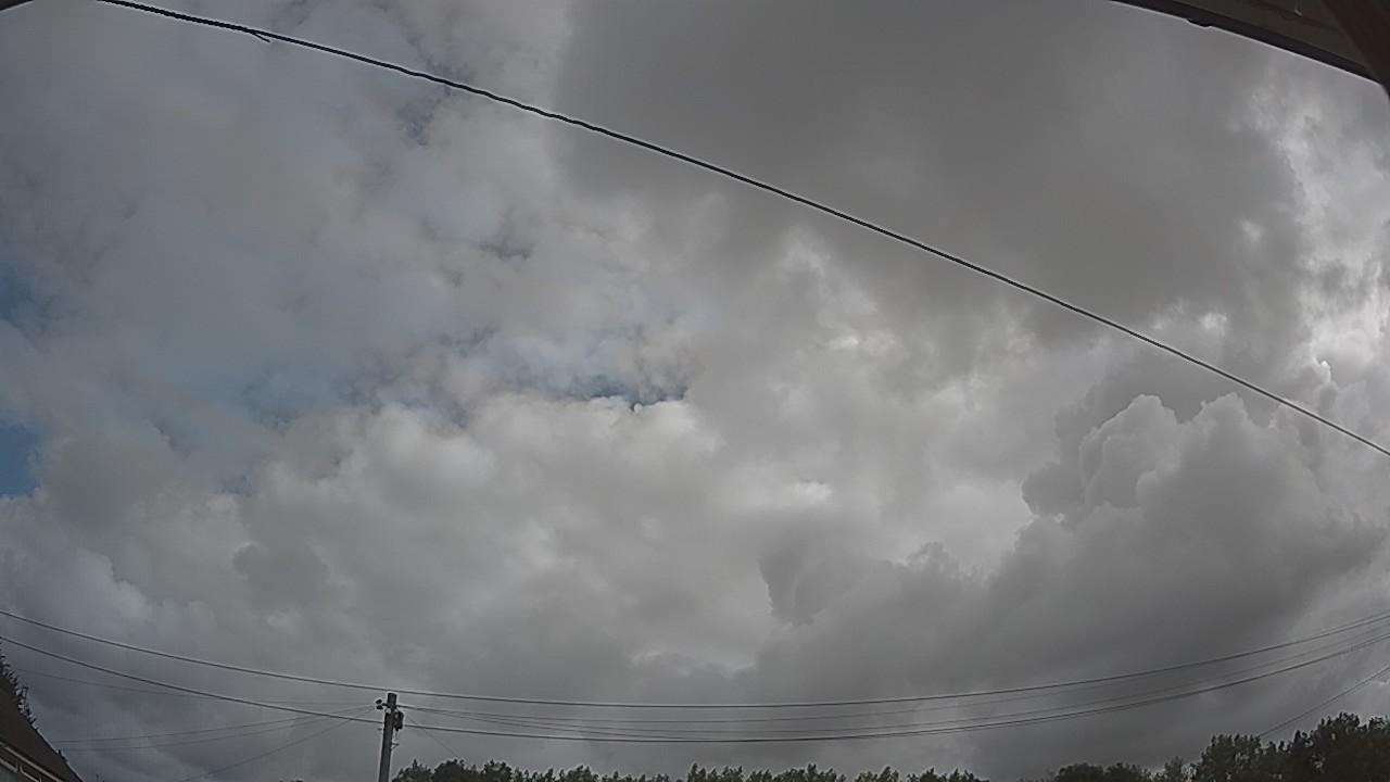 20260801_083851_cam2.jpg