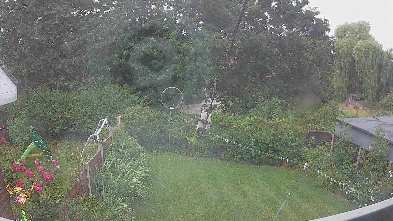 20260801_084232_cam1.jpg
