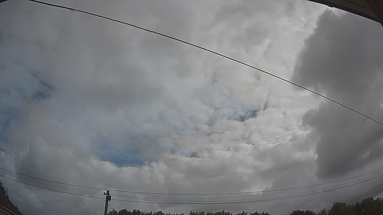20260801_084233_cam2.jpg