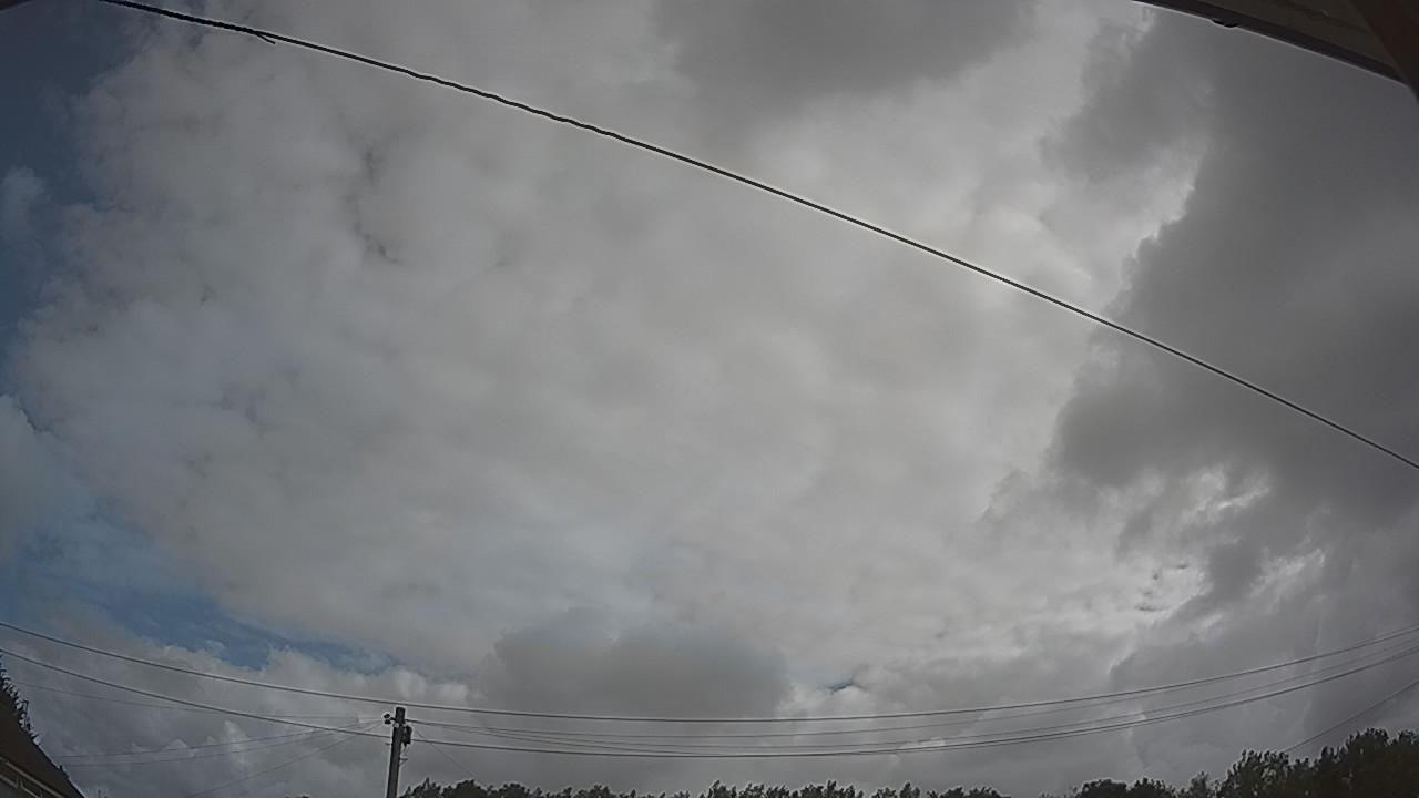 20260801_084615_cam2.jpg