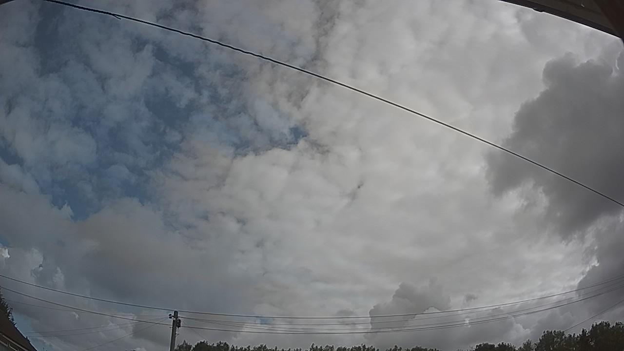 20260801_084958_cam2.jpg