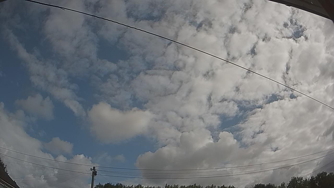 20260801_085723_cam2.jpg