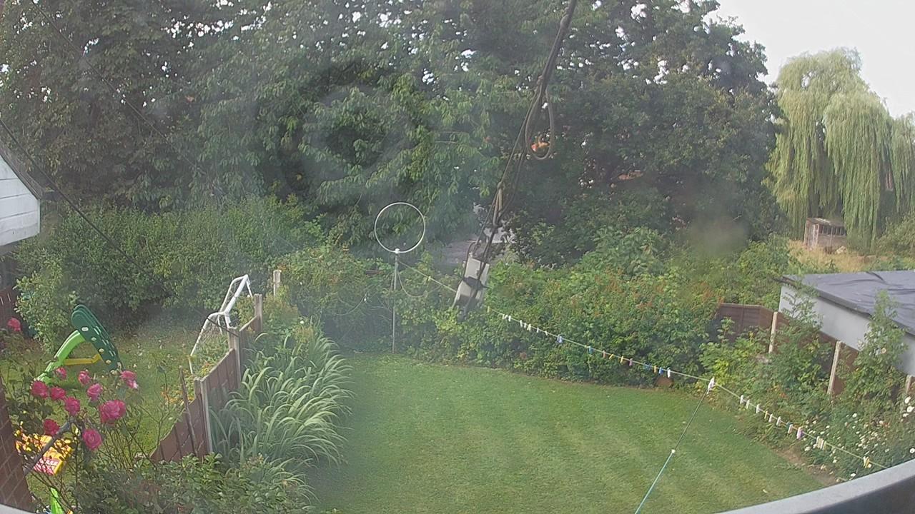 20260801_090046_cam1.jpg