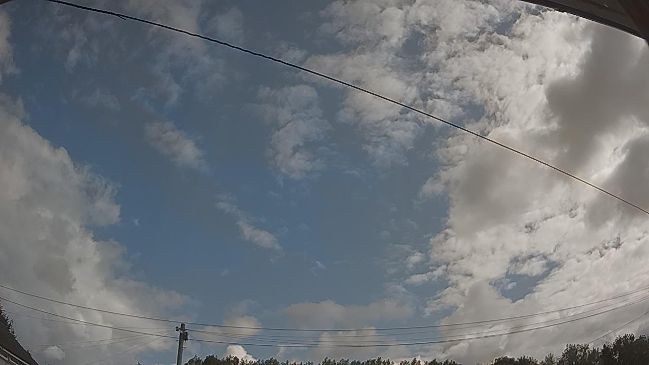 20260801_090047_cam2.jpg