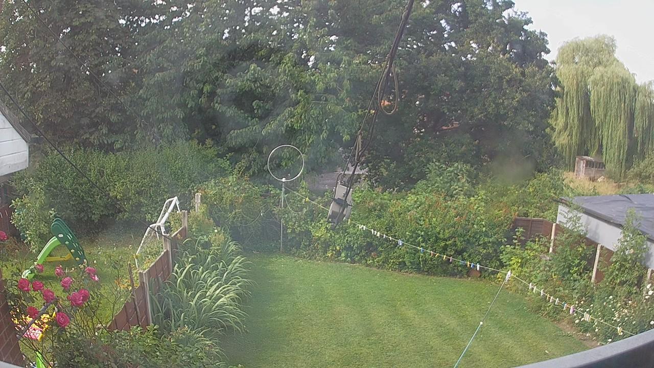 20260801_090411_cam1.jpg