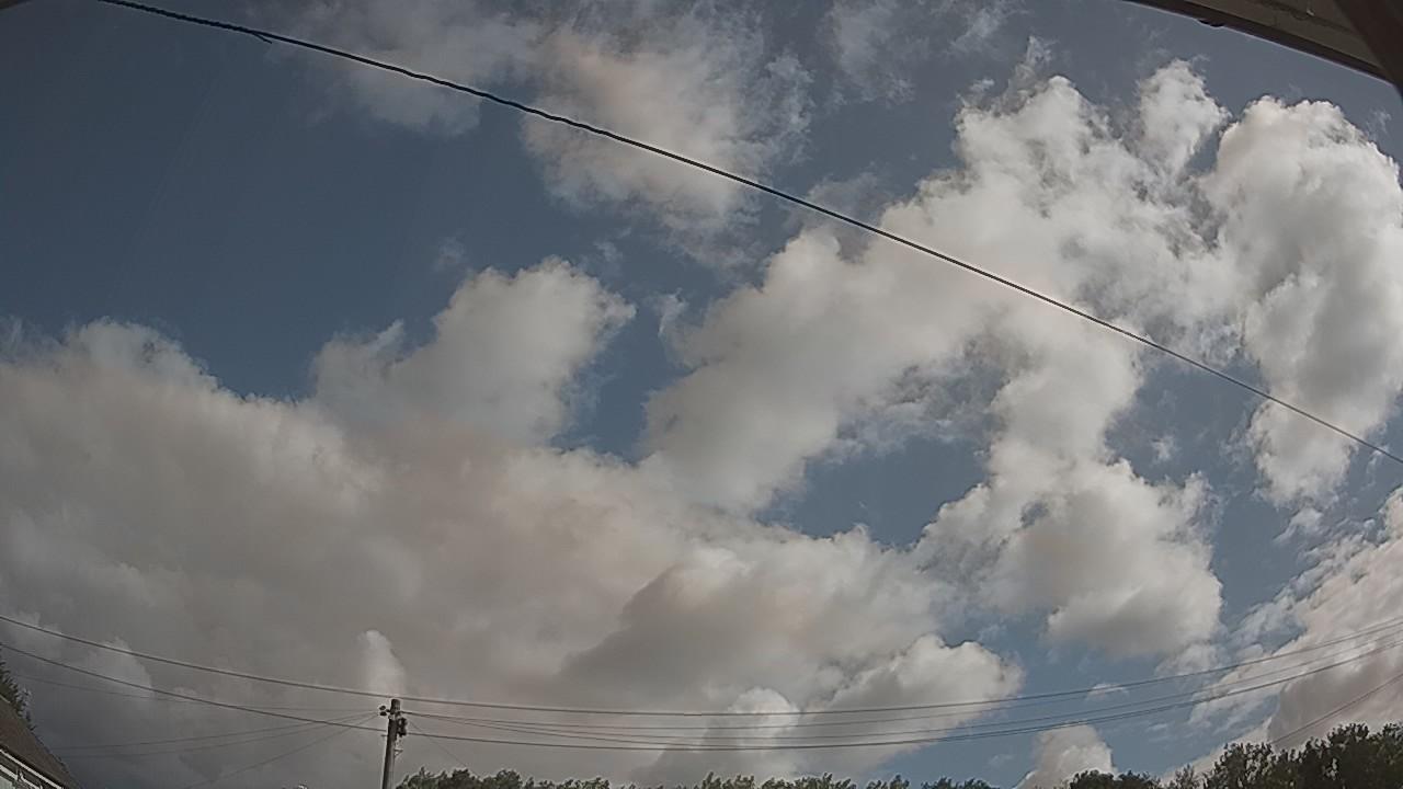 20260801_090736_cam2.jpg