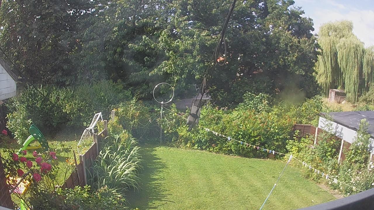 20260801_091100_cam1.jpg