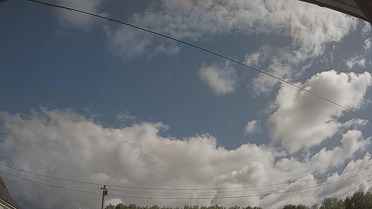 20260801_091101_cam2.jpg