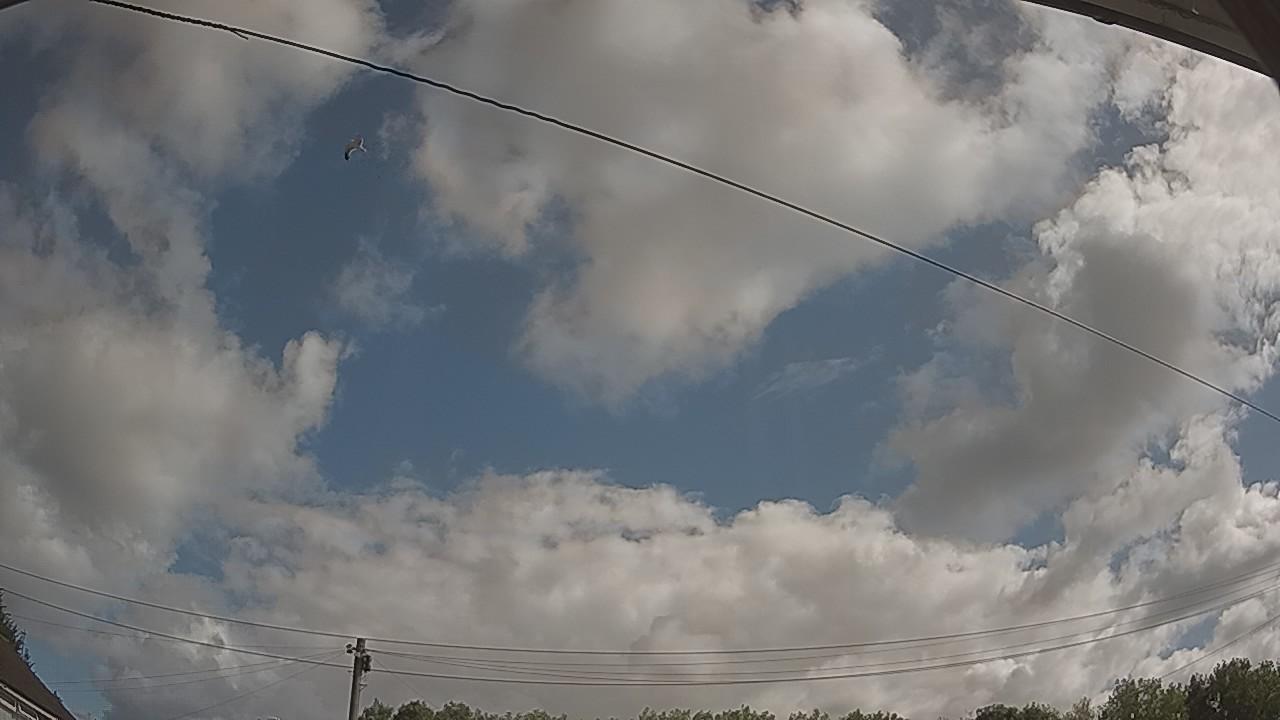 20260801_091425_cam2.jpg