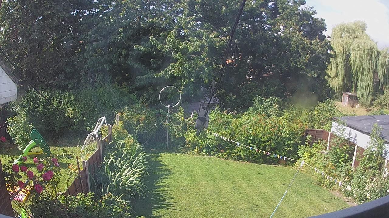 20260801_091748_cam1.jpg
