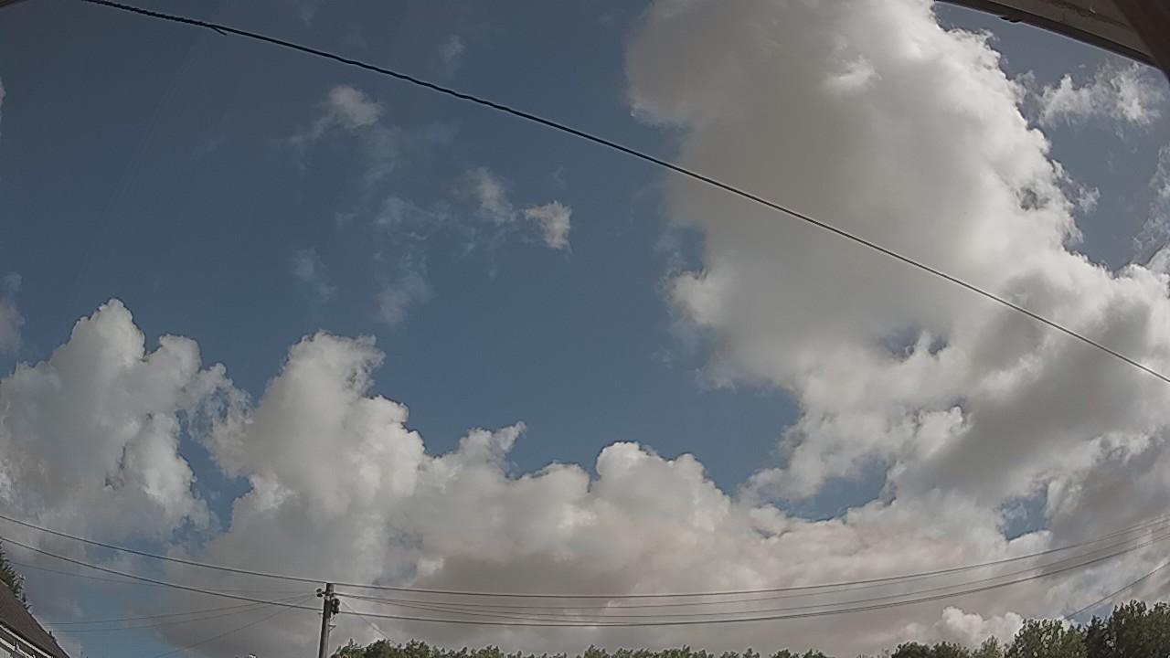 20260801_091749_cam2.jpg