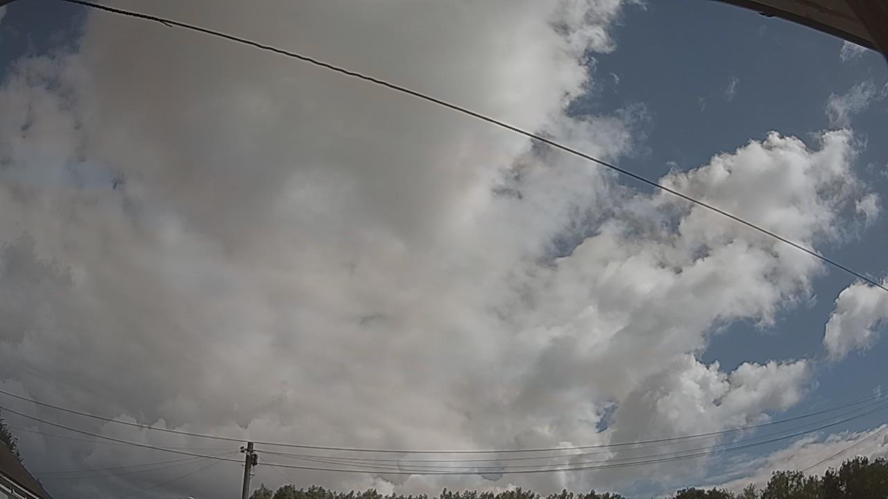 20260801_093107_cam2.jpg