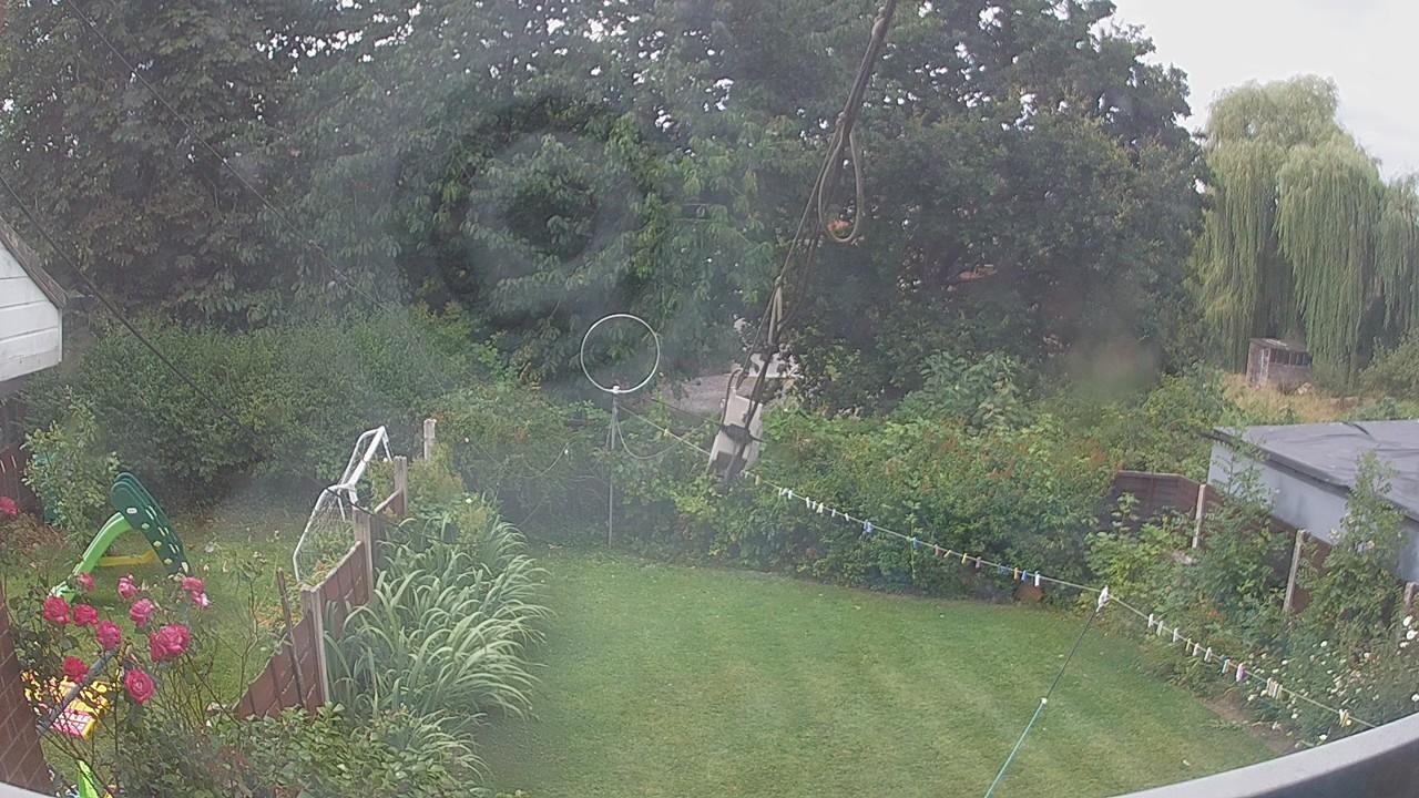 20260801_094408_cam1.jpg