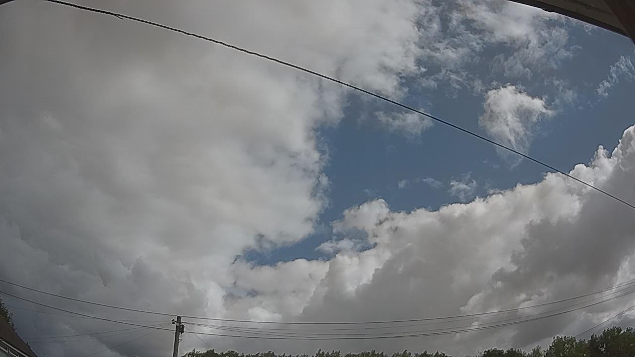 20260801_094409_cam2.jpg