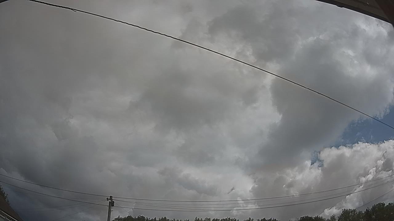 20260801_094725_cam2.jpg