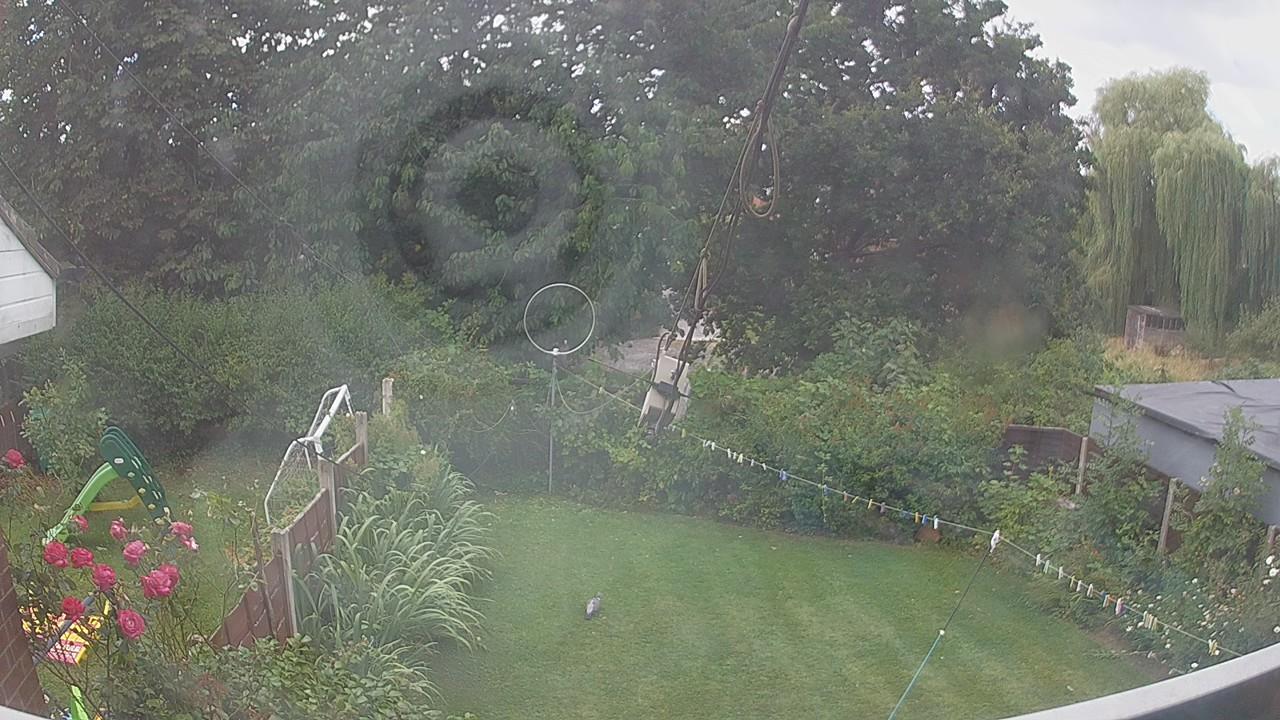 20260801_095039_cam1.jpg