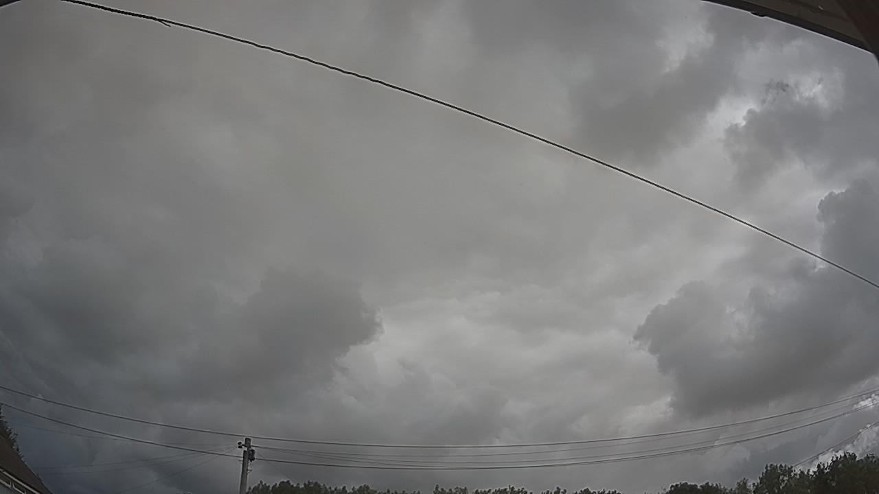 20260801_095040_cam2.jpg