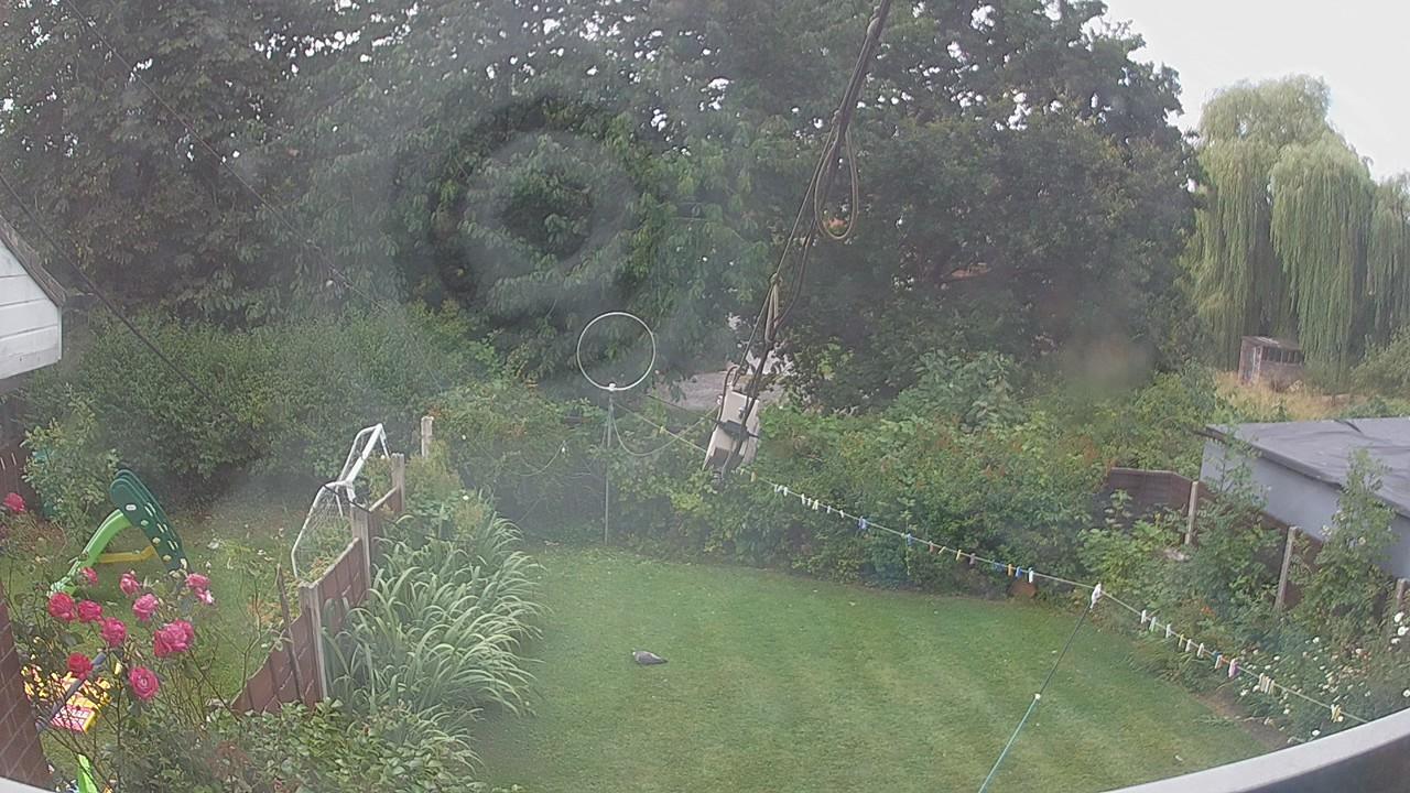 20260801_095354_cam1.jpg