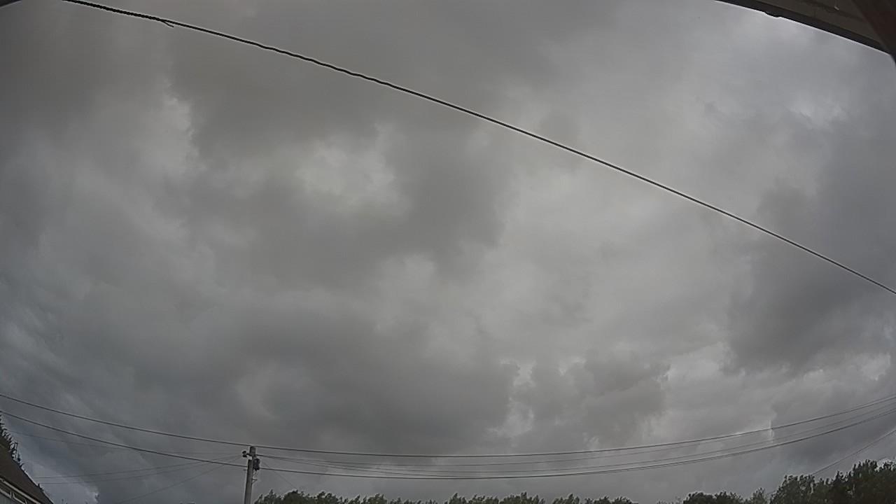 20260801_095355_cam2.jpg
