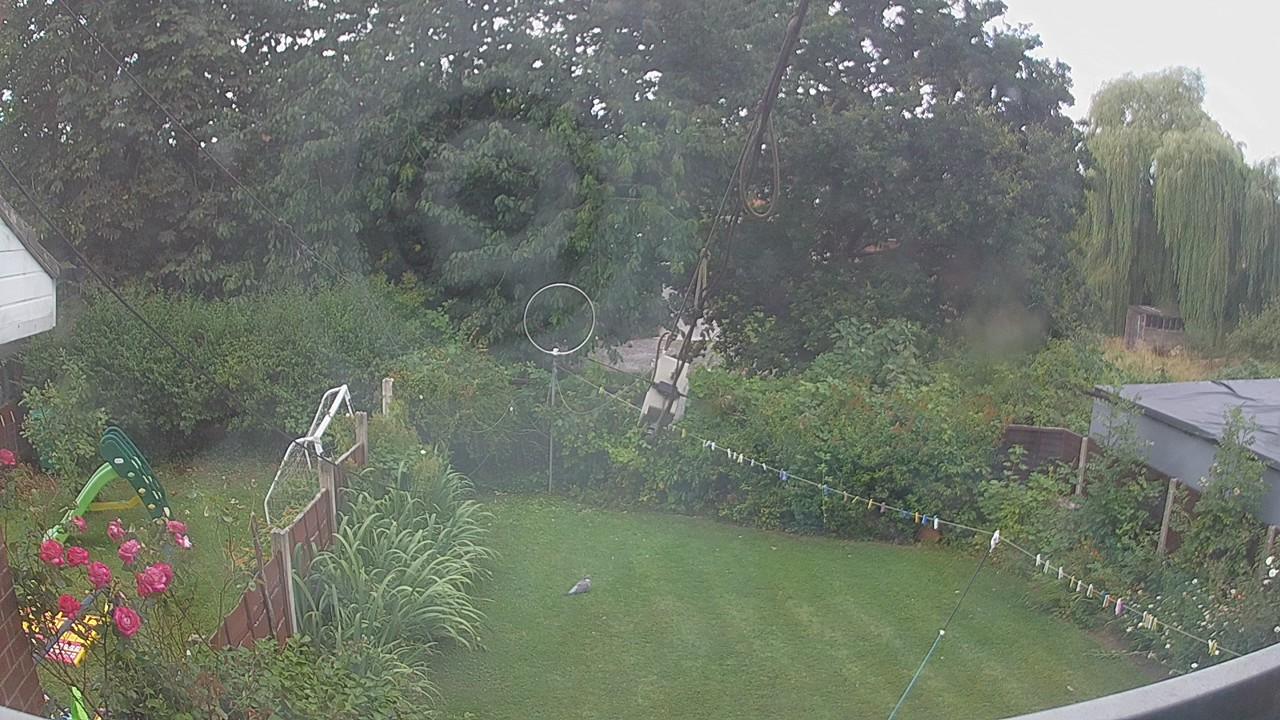 20260801_095709_cam1.jpg