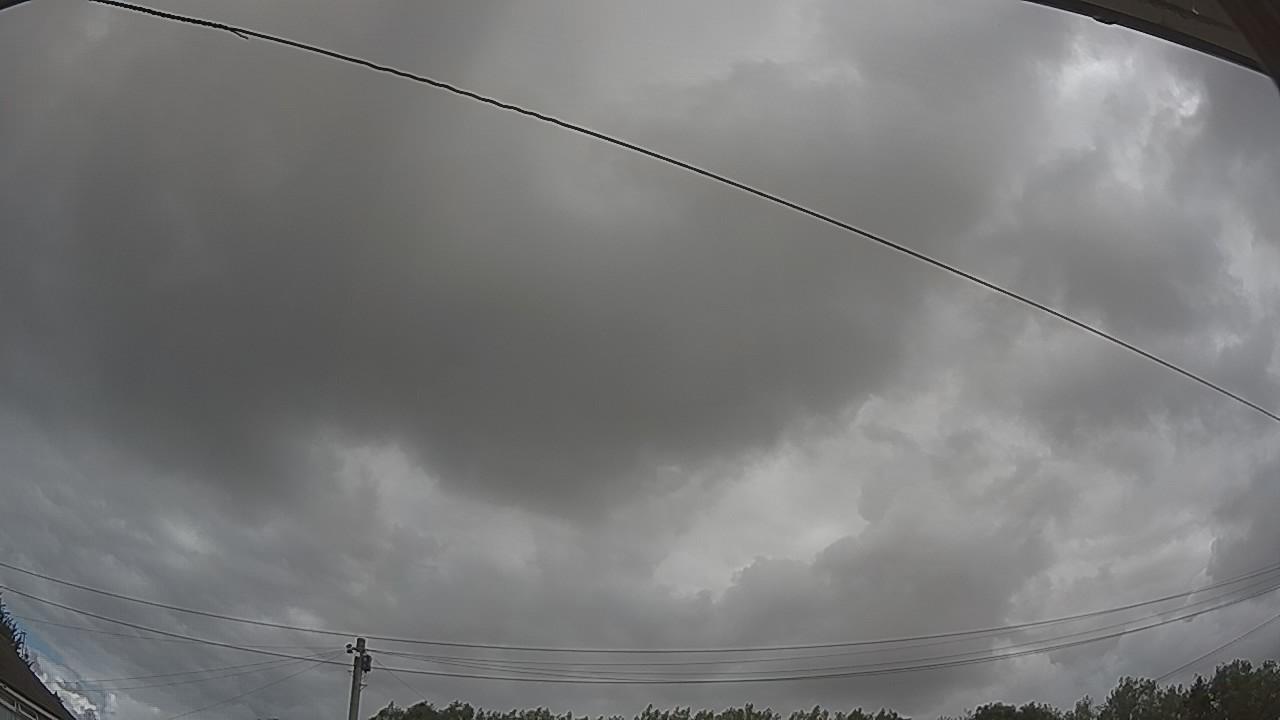 20260801_095710_cam2.jpg