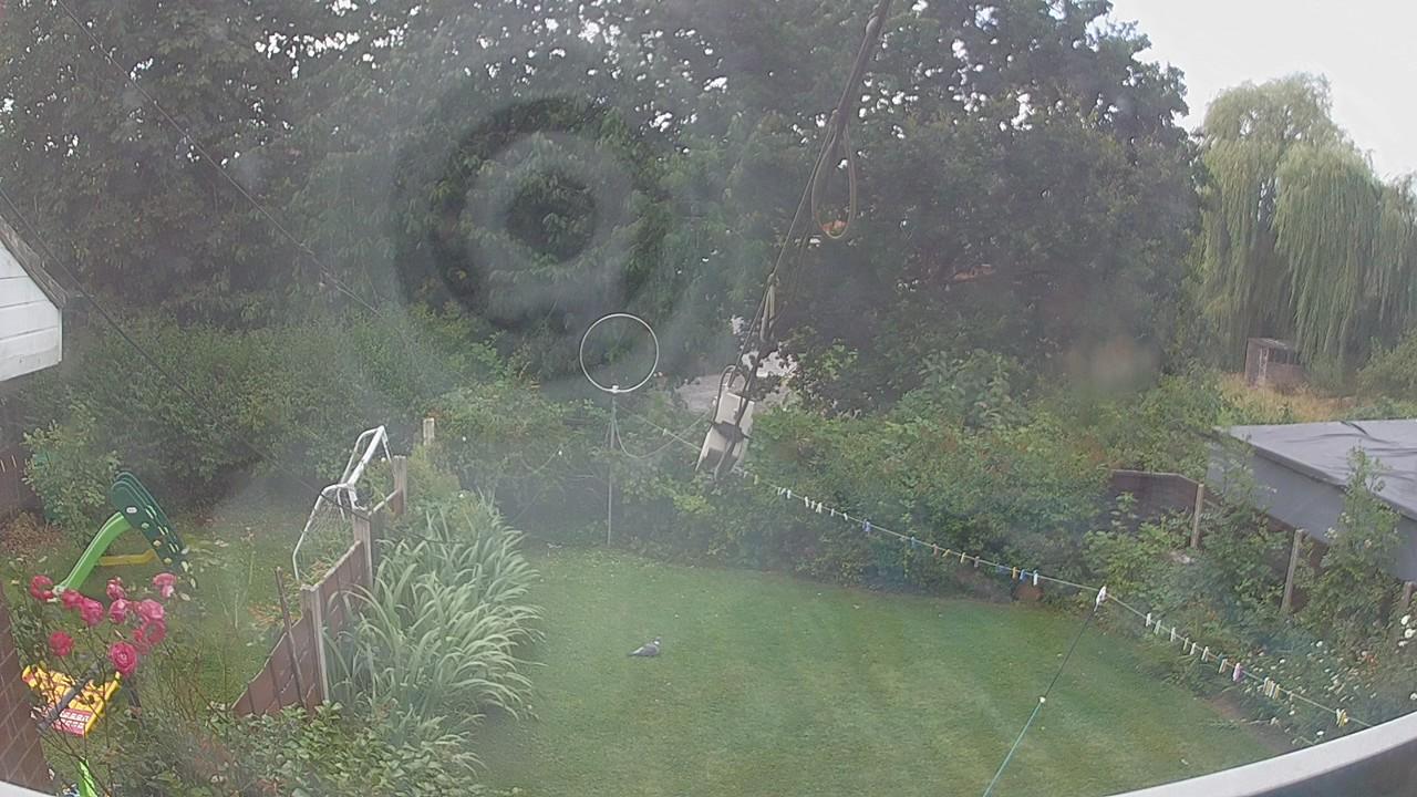 20260801_100016_cam1.jpg