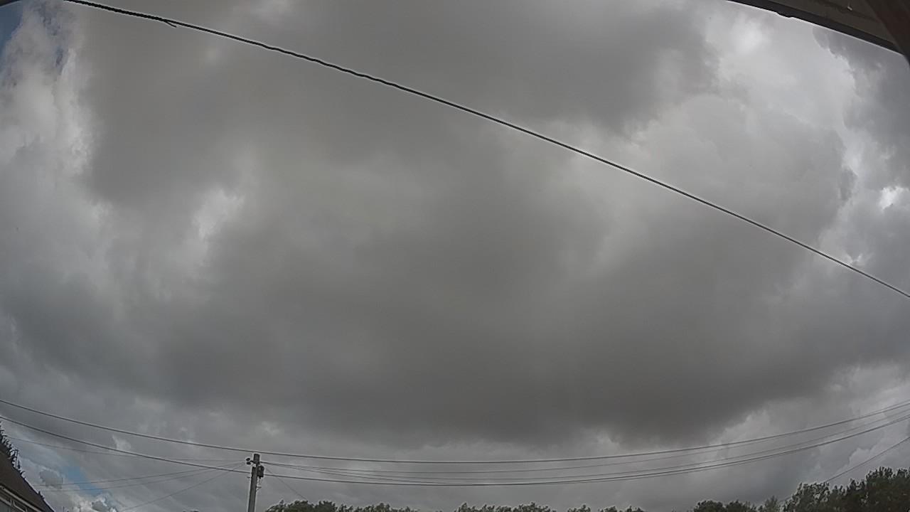 20260801_100017_cam2.jpg