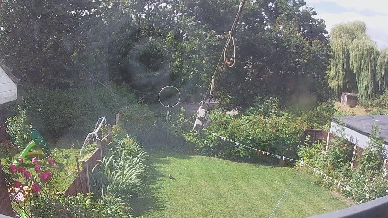 20260801_100322_cam1.jpg