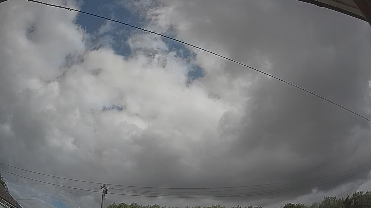 20260801_100323_cam2.jpg