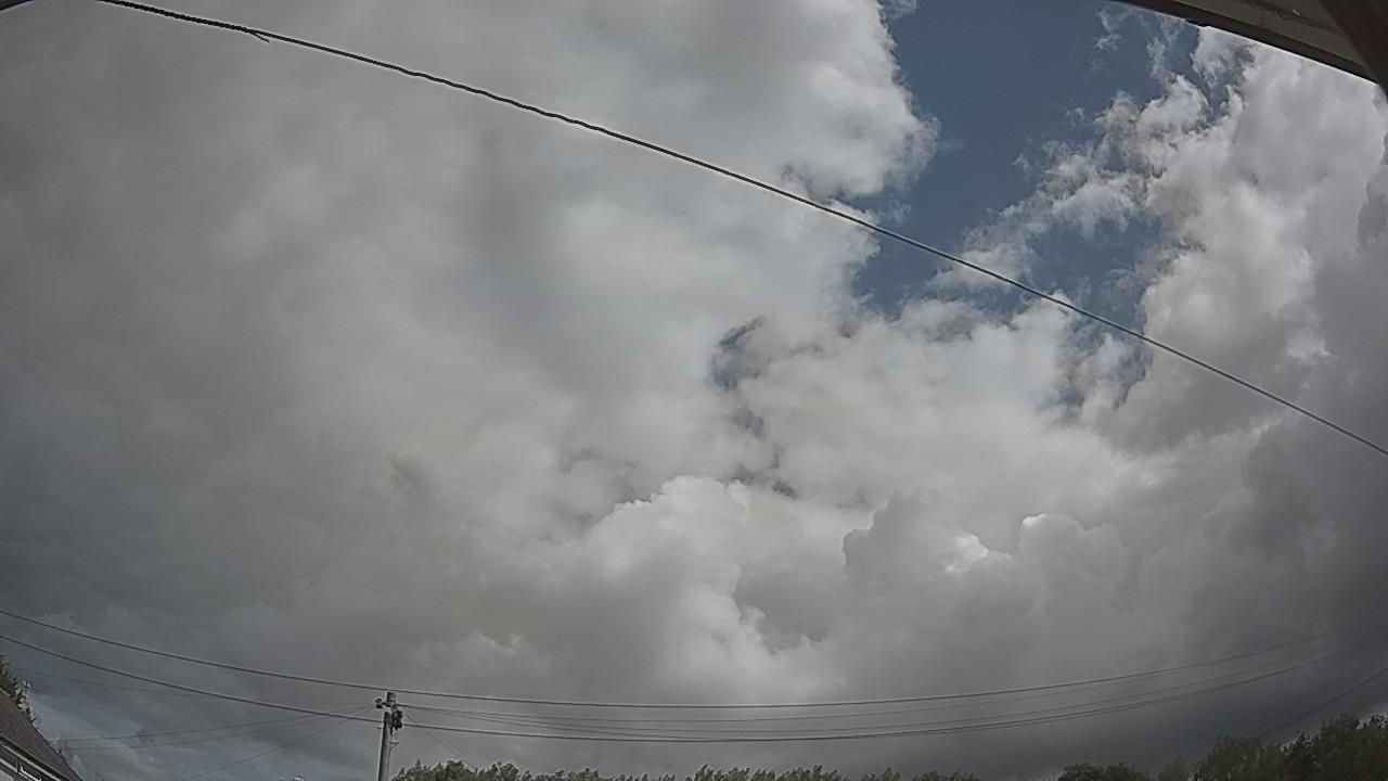 20260801_100630_cam2.jpg