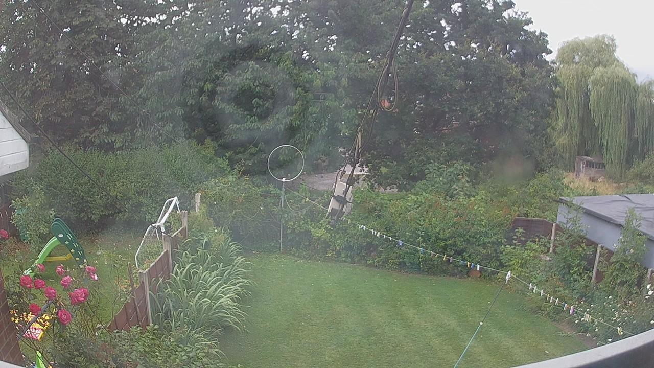 20260801_100934_cam1.jpg