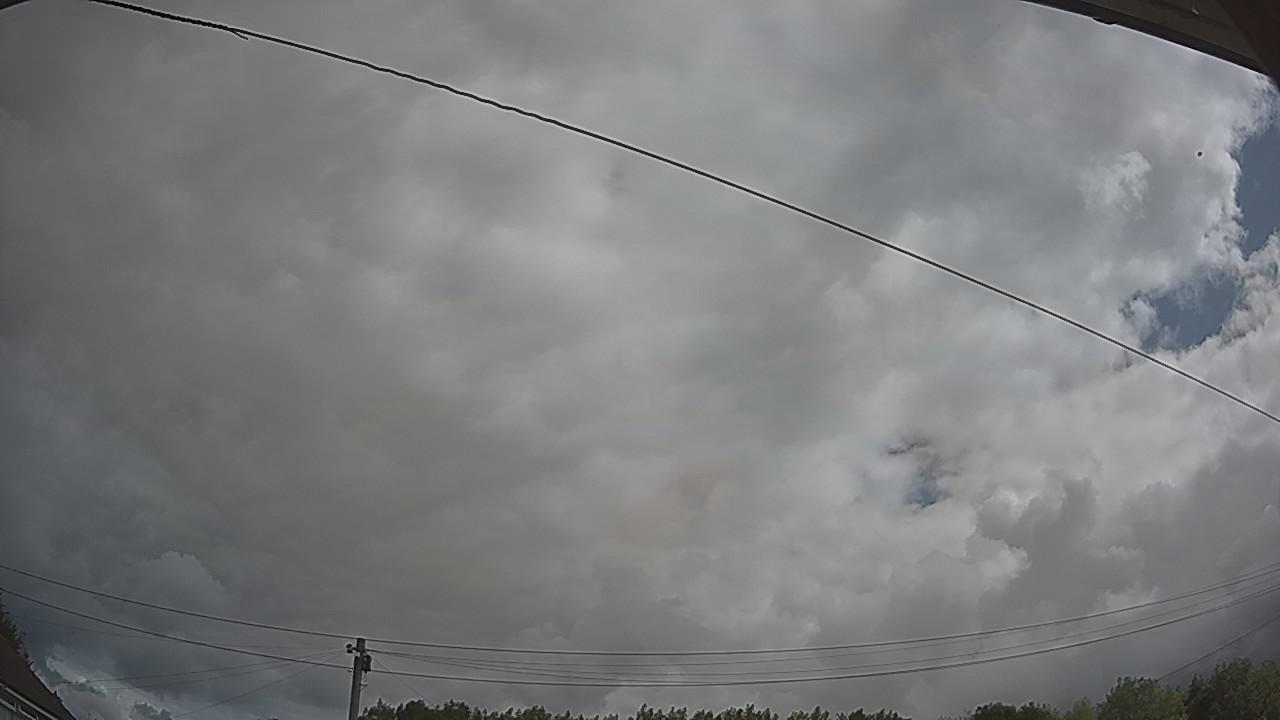20260801_100935_cam2.jpg
