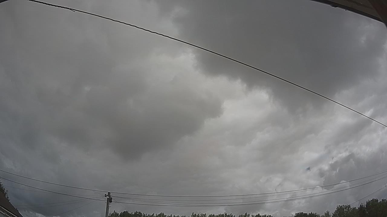 20260801_101242_cam2.jpg
