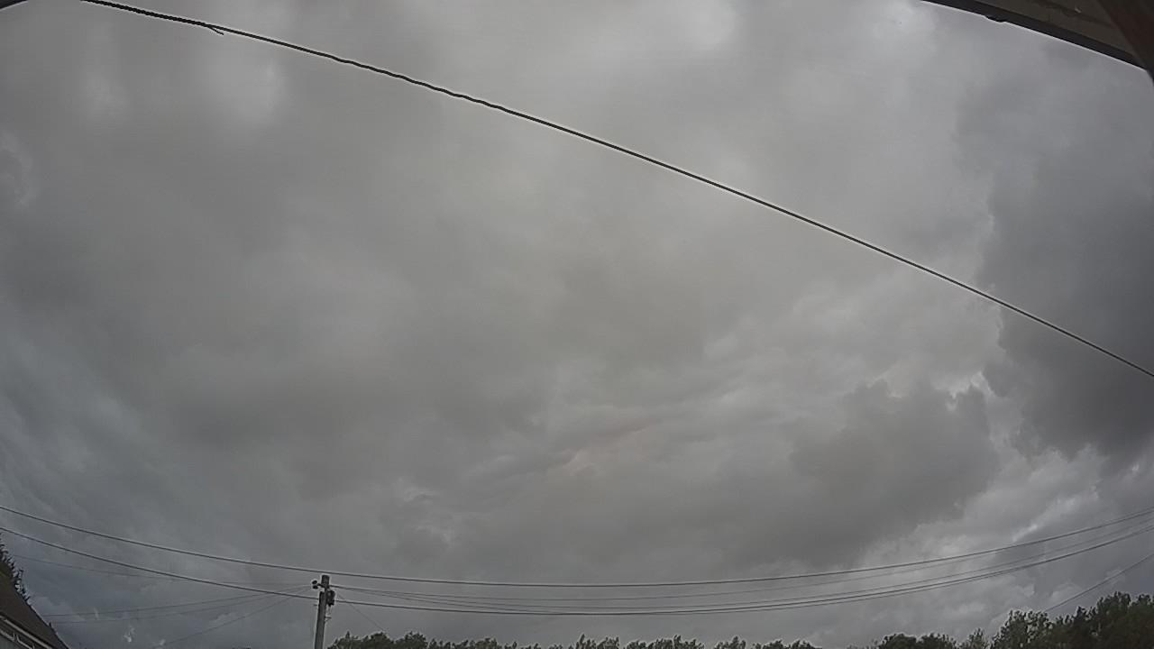 20260801_101548_cam2.jpg
