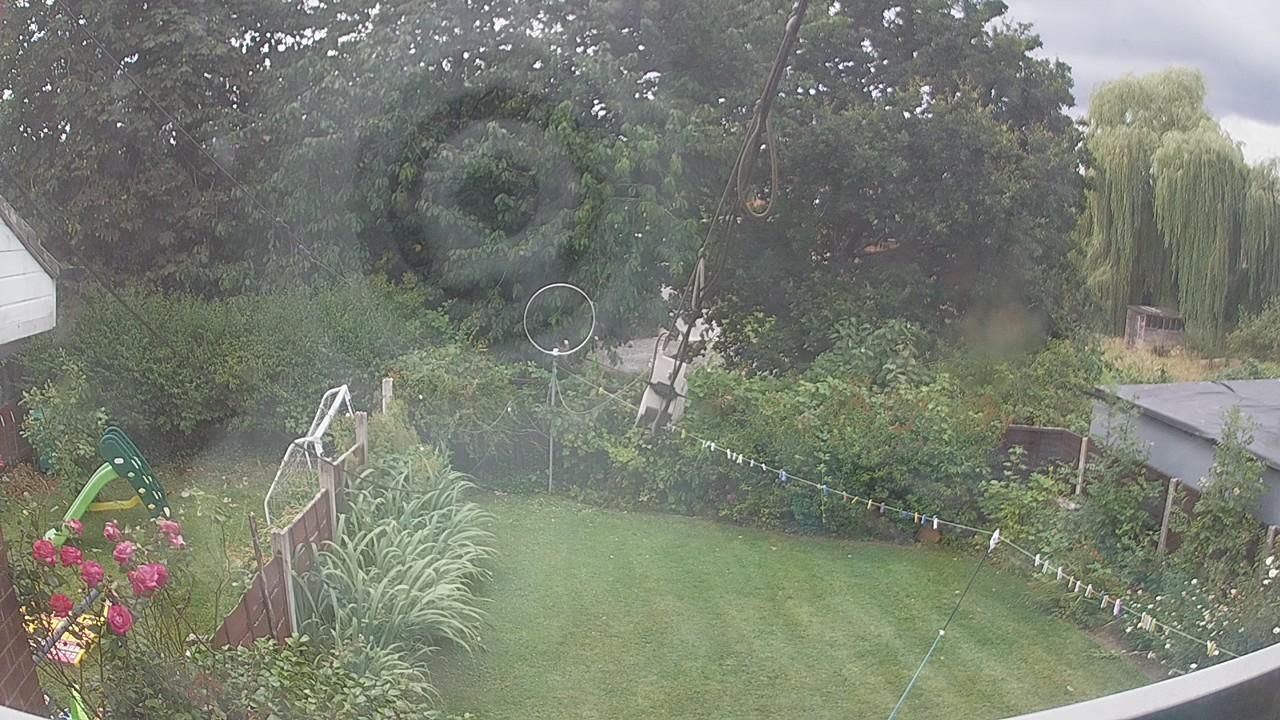 20260801_101853_cam1.jpg