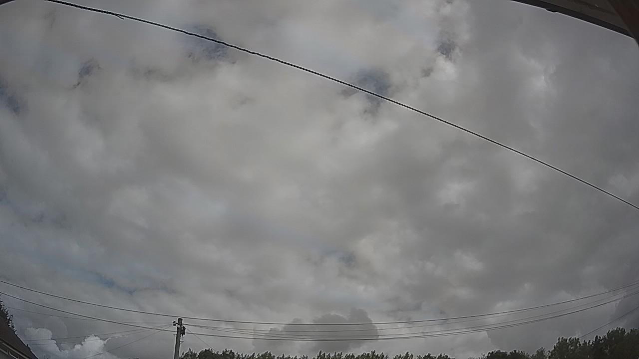 20260801_104433_cam2.jpg
