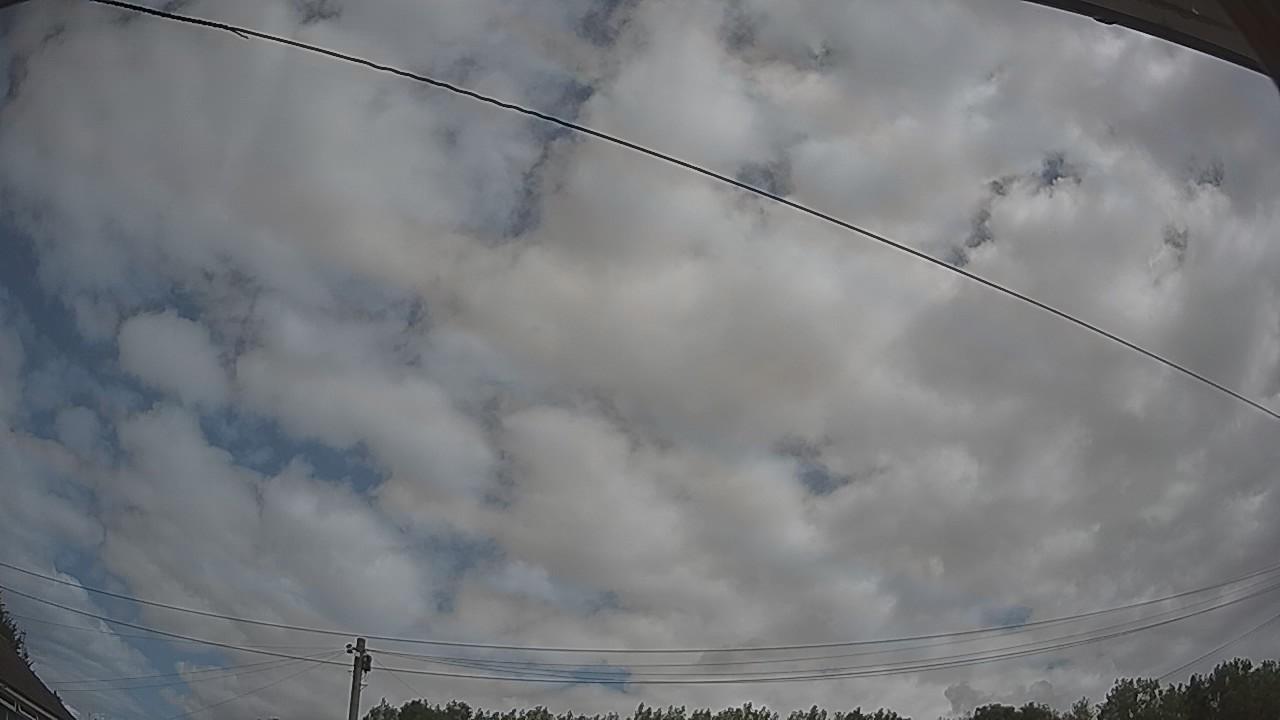 20260801_105103_cam2.jpg