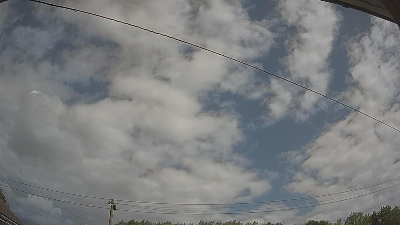 20260801_110106_cam2.jpg