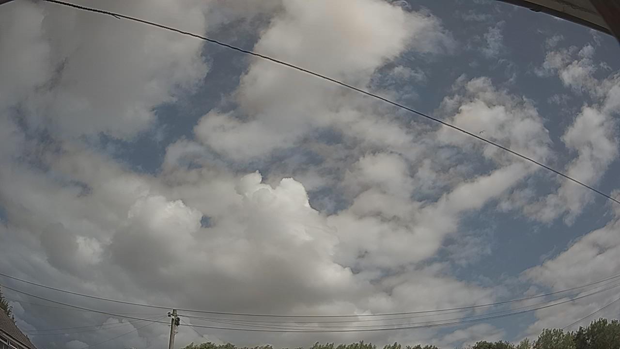 20260801_110429_cam2.jpg