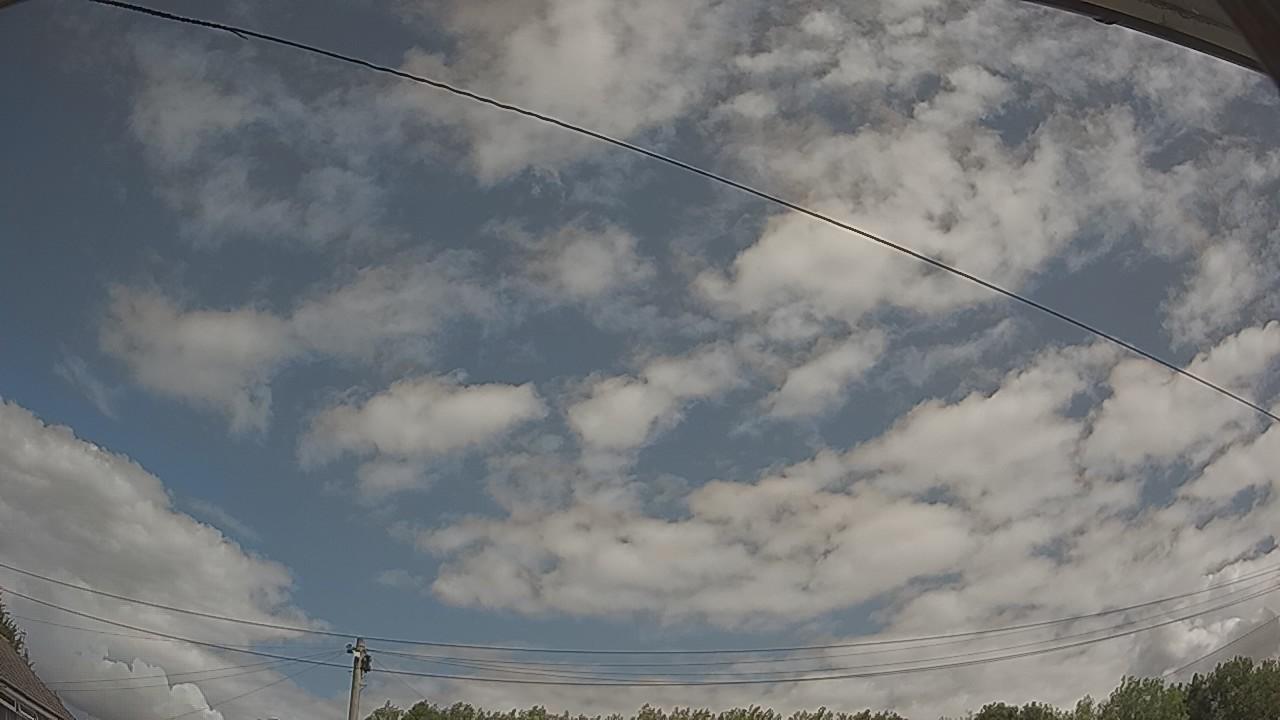 20260801_111807_cam2.jpg