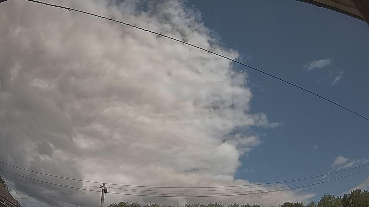 20260801_113202_cam2.jpg