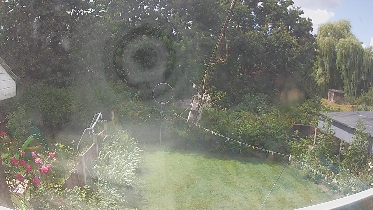 20260801_113534_cam1.jpg
