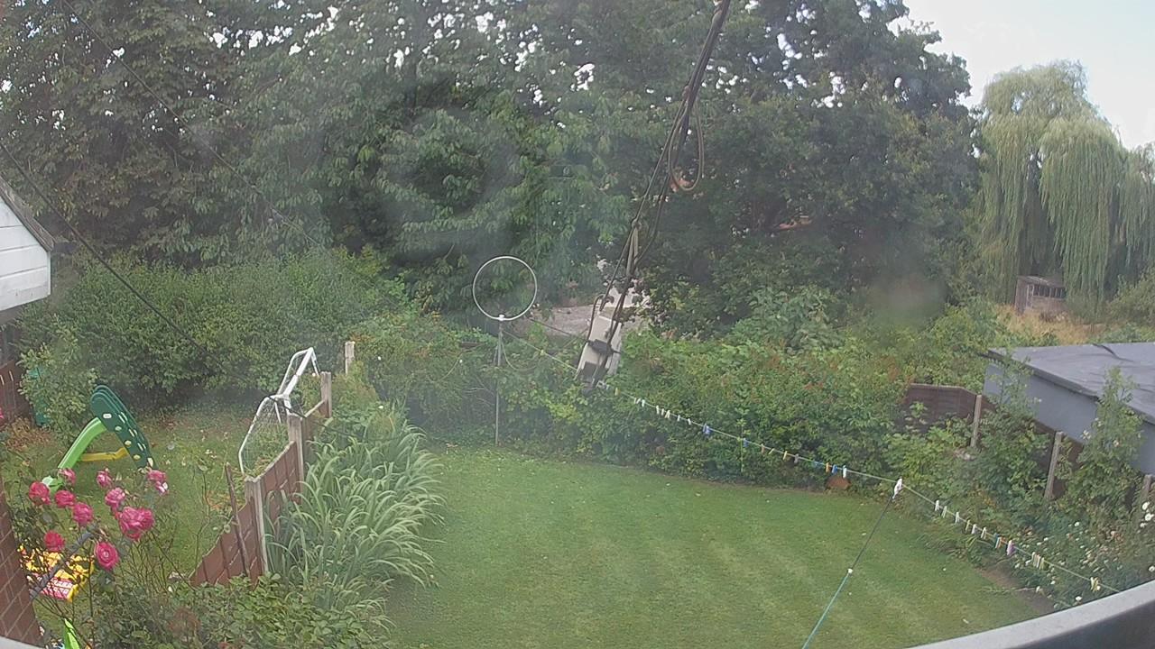 20260801_113907_cam1.jpg