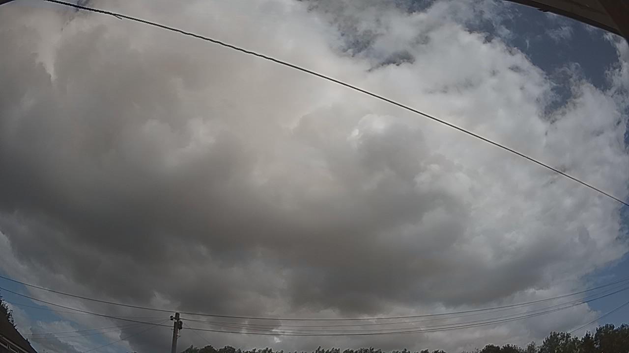 20260801_113908_cam2.jpg